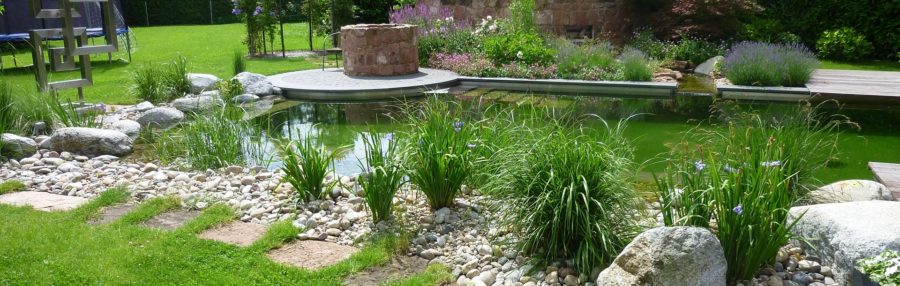 Idyllischer Naturpool - erda-garten.de - Alles rund um Ihren Garten