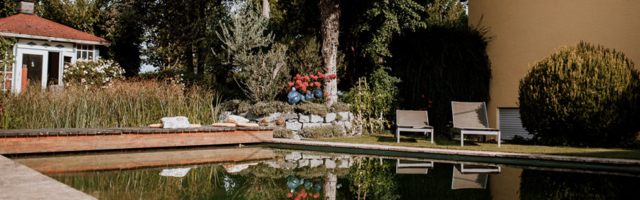 Naturpool mit Holzsteg erdagarten.de Alles rund um Ihren Garten